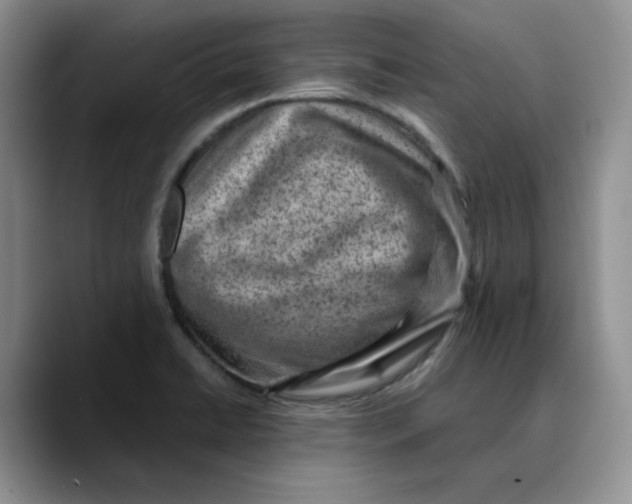 X0000089681422200707201650