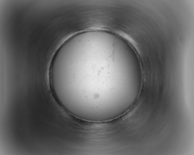 X0000089681423200707201650