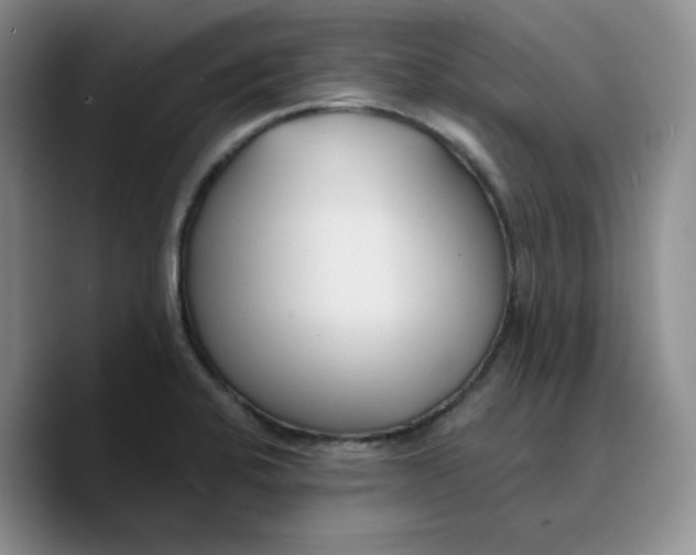 X0000089681424200707201650