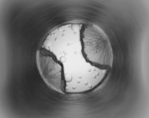 X0000089681425200707201650