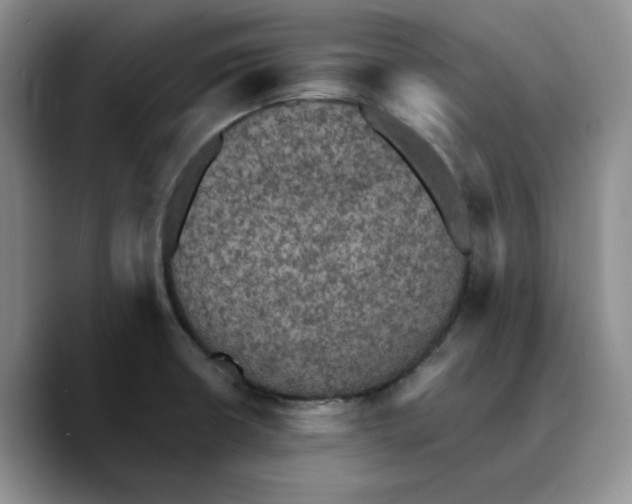 X0000089681426200707201650