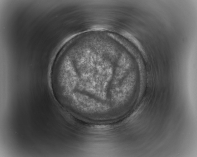 X0000089681427200707201650