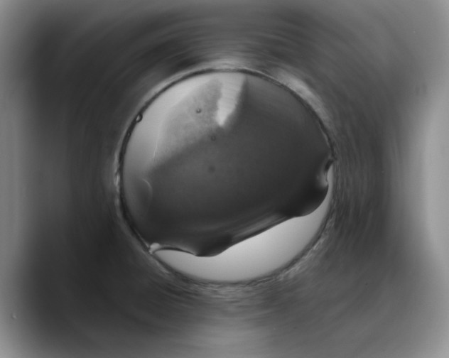 X0000089681428200707201650