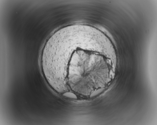 X0000089681429200707201650