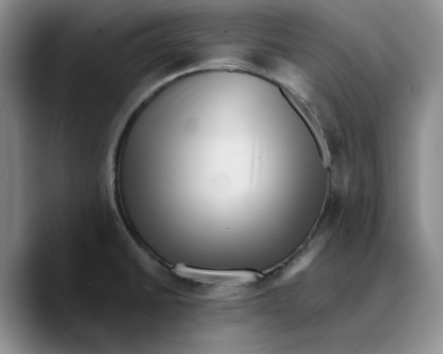 X0000089681430200707201651