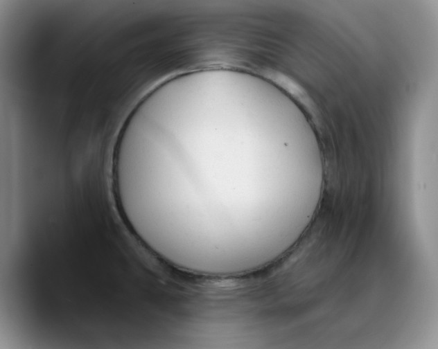 X0000089681431200707201651