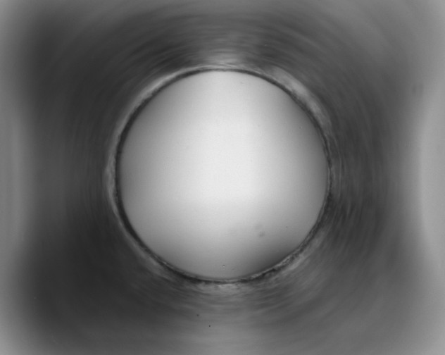 X0000089681432200707201651