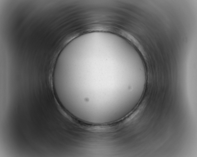 X0000089681433200707201651