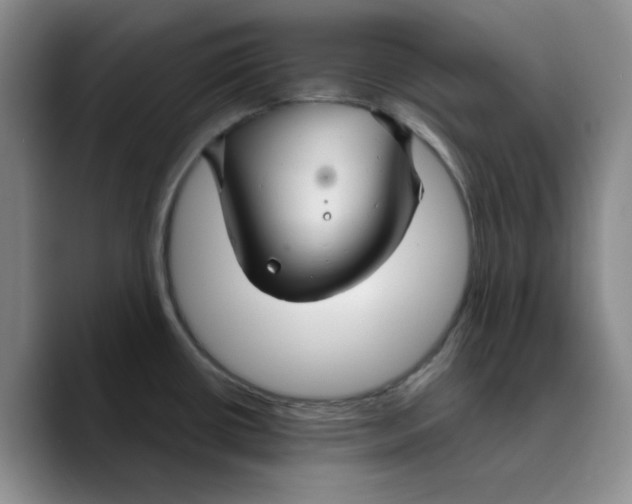 X0000089681434200707201651