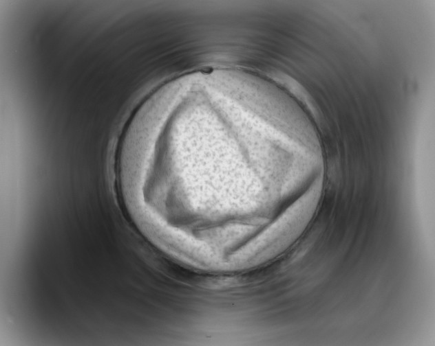 X0000089681435200707201651