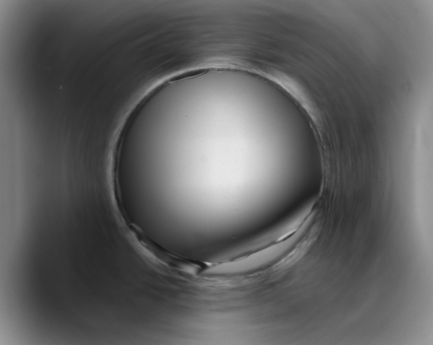 X0000089681438200707201651