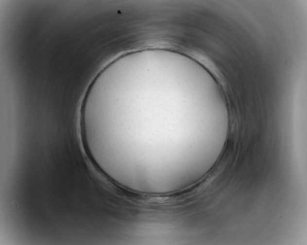 X0000089681439200707201651