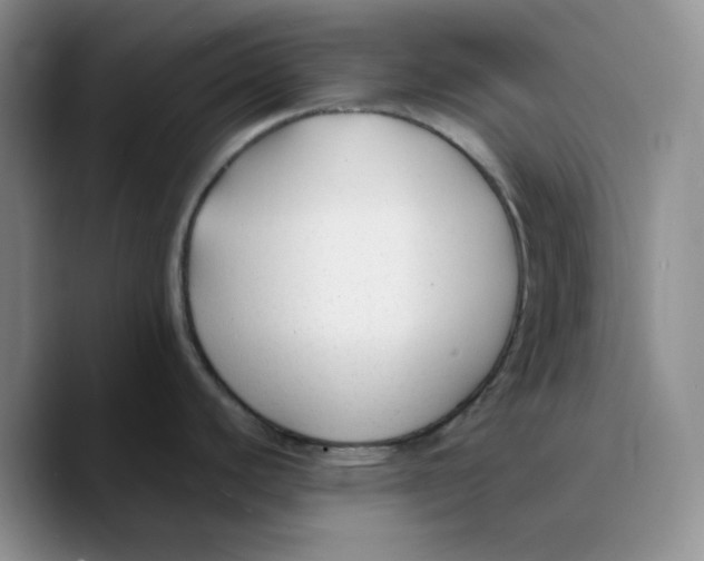 X0000089681440200707201651