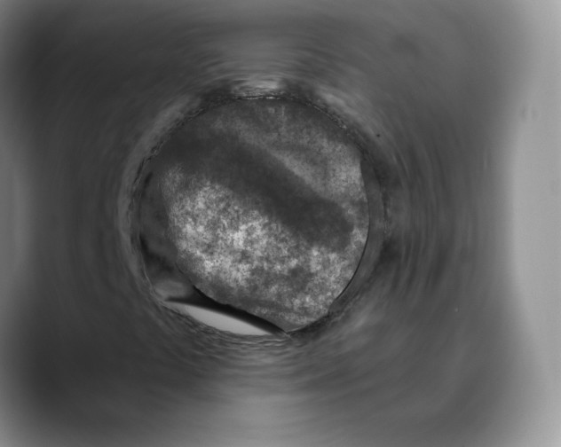 X0000089681441200707201650