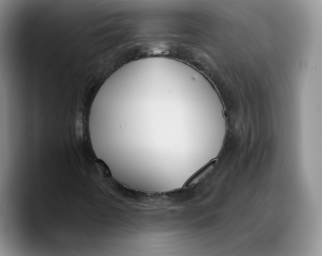 X0000089681442200707201650