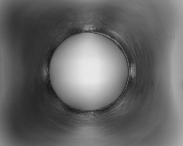 X0000089681444200707201650