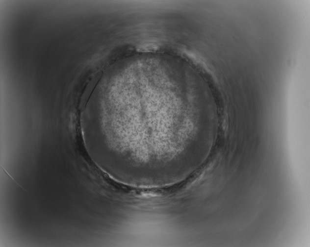 X0000089681445200707201650