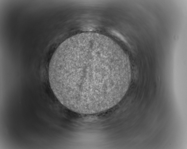 X0000089681446200707201650