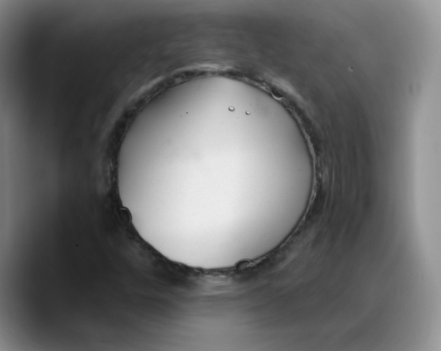 X0000089681448200707201650