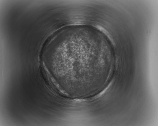 X0000089681449200707201650