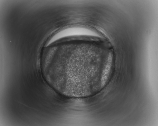 X0000089681450200707201650