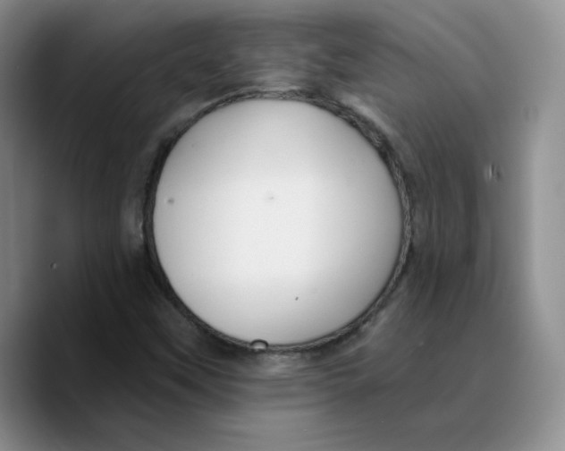 X0000089681451200707201650