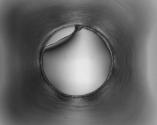 X0000089681452200707201650