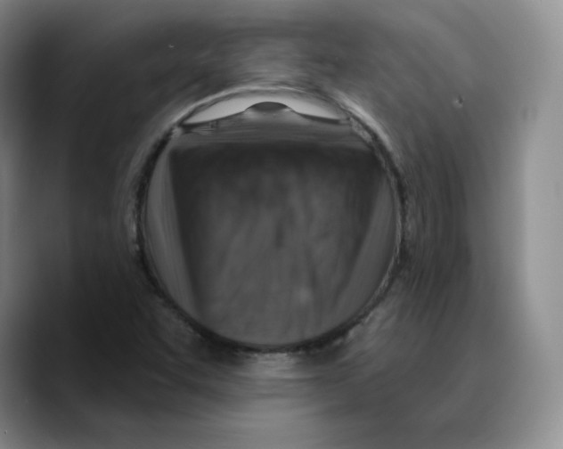 X0000089681455200707201650