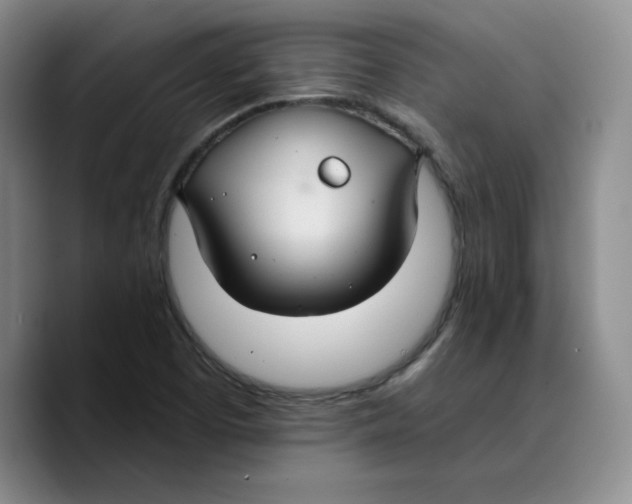 X0000089681457200707201650