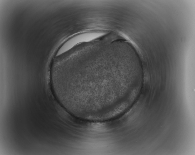 X0000089681459200707201650