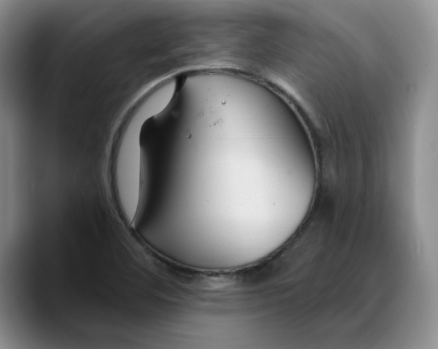 X0000089681460200707201650