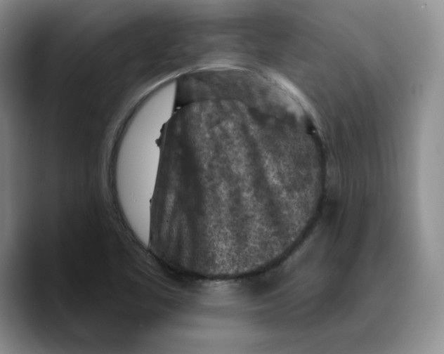 X0000089681461200707201650