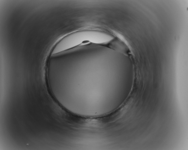 X0000089681463200707201650