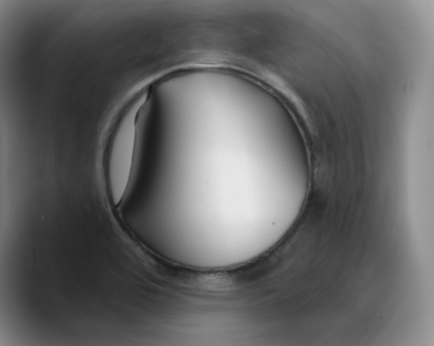 X0000089681464200707201650