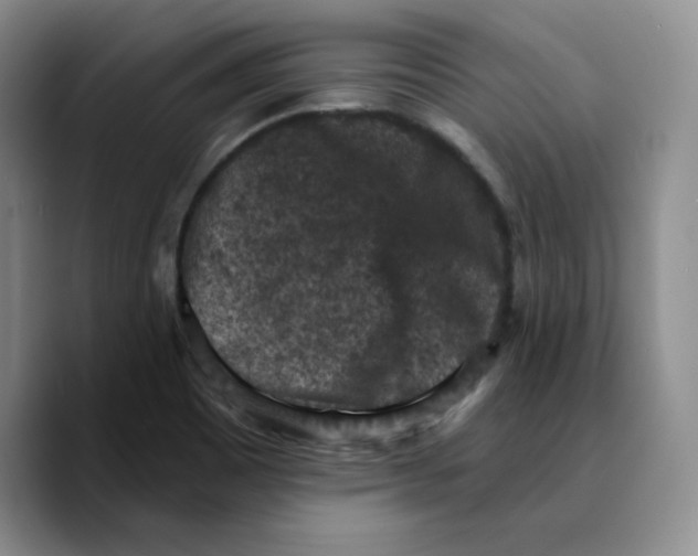 X0000089681465200707201650