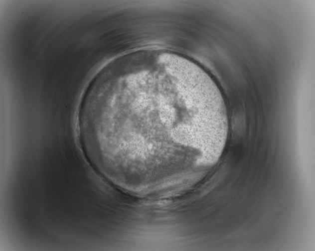 X0000089681466200707201650