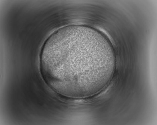 X0000089681467200707201650