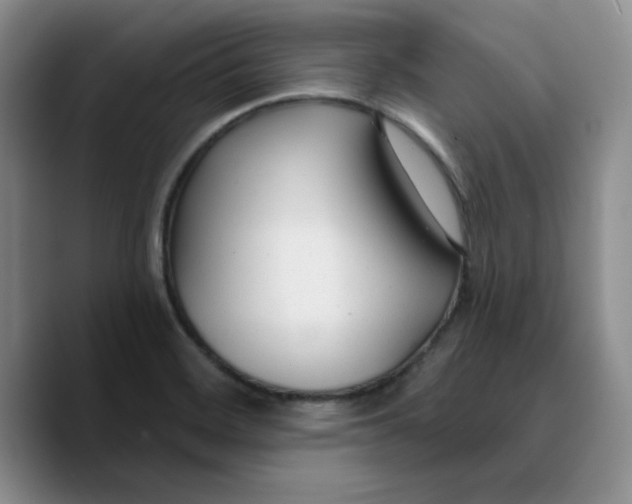 X0000089681468200707201650