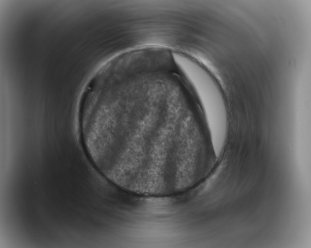 X0000089681469200707201650