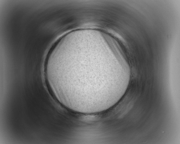 X0000089681470200707201650