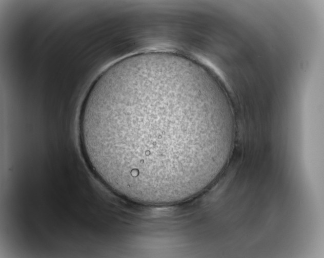 X0000089681471200707201650