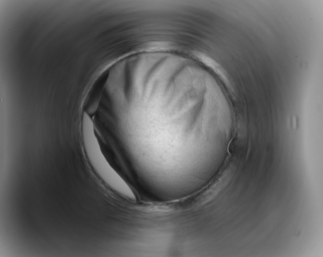 X0000089681473200707201650