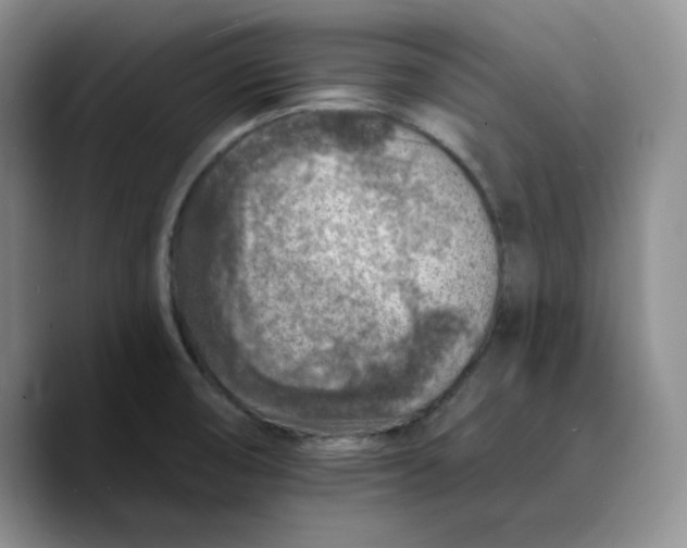 X0000089681474200707201650