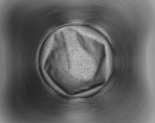 X0000089681475200707201650