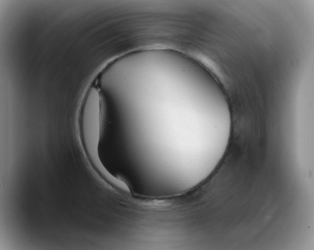 X0000089681476200707201650