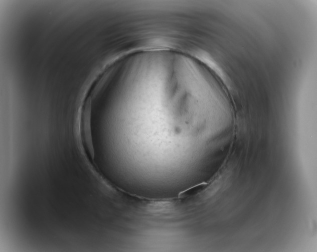 X0000089681477200707201650