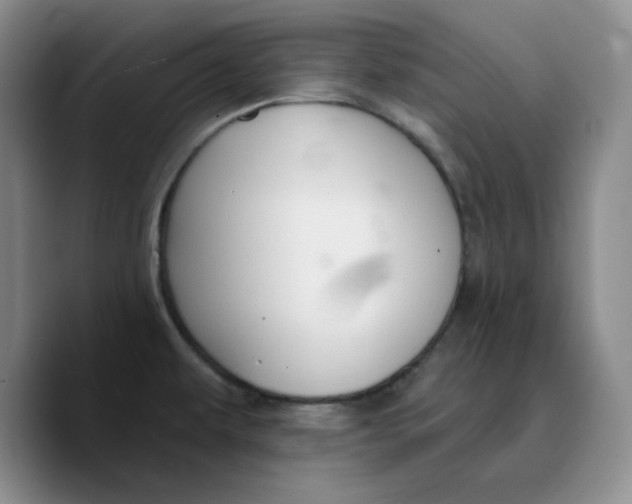 X0000089681479200707201650