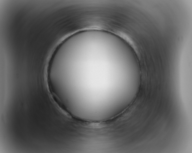 X0000089681480200707201649