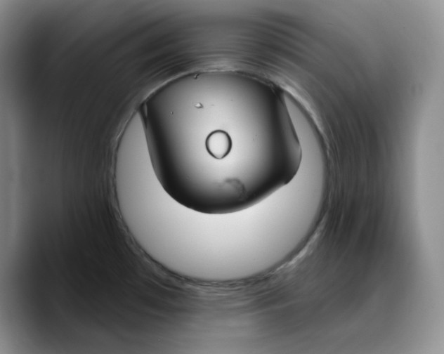 X0000089681481200707201649