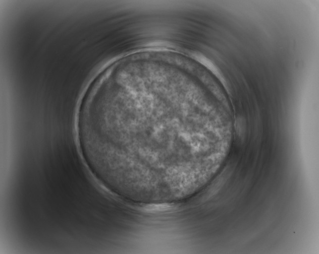 X0000089681482200707201649